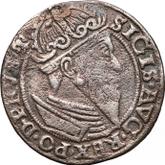 Obverse 3 Groszy (Trojak) 1557 Danzig