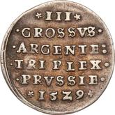 Reverse 3 Groszy (Trojak) 1529 Torun