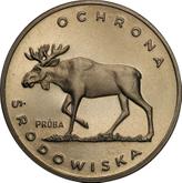 Reverse 100 Zlotych 1978 MW Pattern Moose