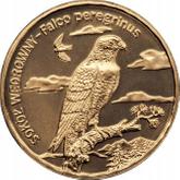 Reverse 2 Zlote 2008 MW NR Peregrine falcon