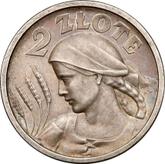 Reverse 2 Zlote 1924 Pattern