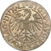Obverse 1/2 Grosz 1546 Lithuania