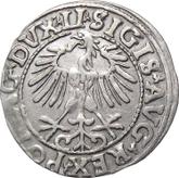 Obverse 1/2 Grosz 1557 Lithuania