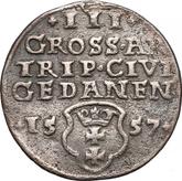 Reverse 3 Groszy (Trojak) 1557 Danzig
