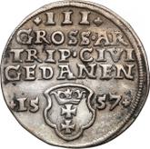 Reverse 3 Groszy (Trojak) 1557 Danzig