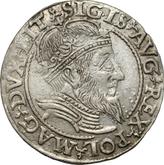 Obverse 1 Grosz 1559 Lithuania