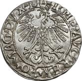 Obverse 1/2 Grosz 1558 Lithuania