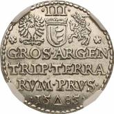 Reverse 3 Groszy (Trojak) 1585 Malbork
