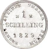 Reverse Shilling 1829