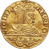 Obverse Ducat 1529 CN