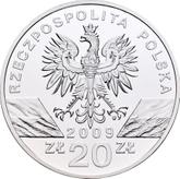Obverse 20 Zlotych 2009 MW RK European green lizard