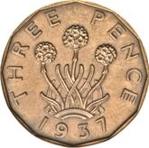Reverse Threepence 1937 HP