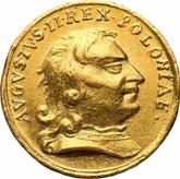 Obverse 1/2 Ducat no date (1709) The Return of the Polish Throne 1710