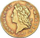 Obverse Half Guinea 1729 EIC Young Head