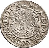 Obverse 1/2 Grosz no date (1545-1572) Lithuania