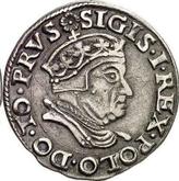 Obverse 3 Groszy (Trojak) 1546 Danzig