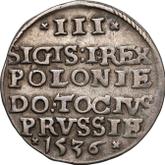 Reverse 3 Groszy (Trojak) 1536 Elbing