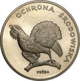 Reverse 100 Zlotych 1980 MW Pattern Capercaillie