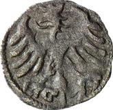 Reverse Denar no date (1506-1548) SP