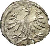 Reverse Denar no date (1506-1548) SP