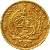 Reverse 1/2 pond (Transvaal) 1893