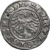Reverse 1/2 Grosz 1508