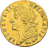 Obverse Guinea 1688 Second laureate head