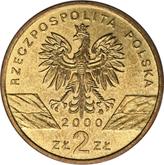 Obverse 2 Zlote 2000 MW NR Hoopoe