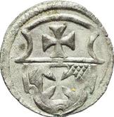 Obverse Denar no date (1506-1548) Elbing