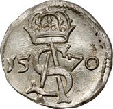 Obverse Double Denar 1570 Lithuania