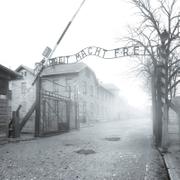 Period of German Occupation