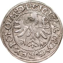 1/2 Grosz 1566    "Lithuania"