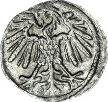 Denar 1551    "Lithuania"