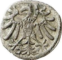 Denar 1539    "Elbing"