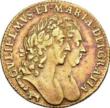 Half Guinea 1692    "Second busts"