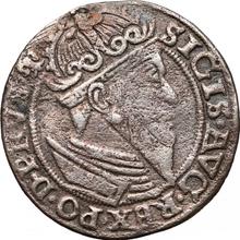 3 Groszy (Trojak) 1557    "Danzig"