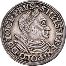 3 Groszy (Trojak) 1532    "Torun"