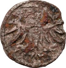 Denar 1552    "Danzig"