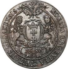Taler 1685  DL  "Danzig"