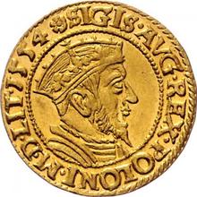 Ducat 1554    "Danzig"
