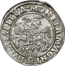 1 Grosz 1555    "Lithuania"
