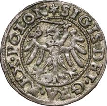 Schilling (Szelag) 1546    "Danzig"