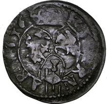 Ternar (trzeciak) 1623   