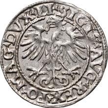 1/2 Grosz 1554    "Lithuania"