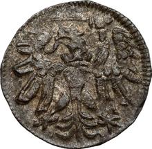 Denar 1557    "Danzig"