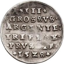 3 Groszy (Trojak) 1528    "Torun"