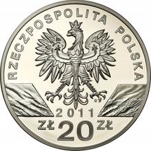 20 Zlotych 2011 MW   "Dachs"
