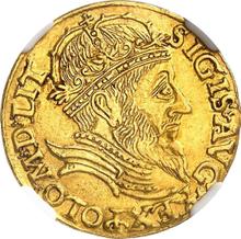 Ducat 1561    "Lithuania"