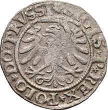 Schilling (Szelag) 1533    "Elbing"