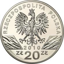 20 Zlotych 2010 MW   "Kleine Hufeisenfledermaus"